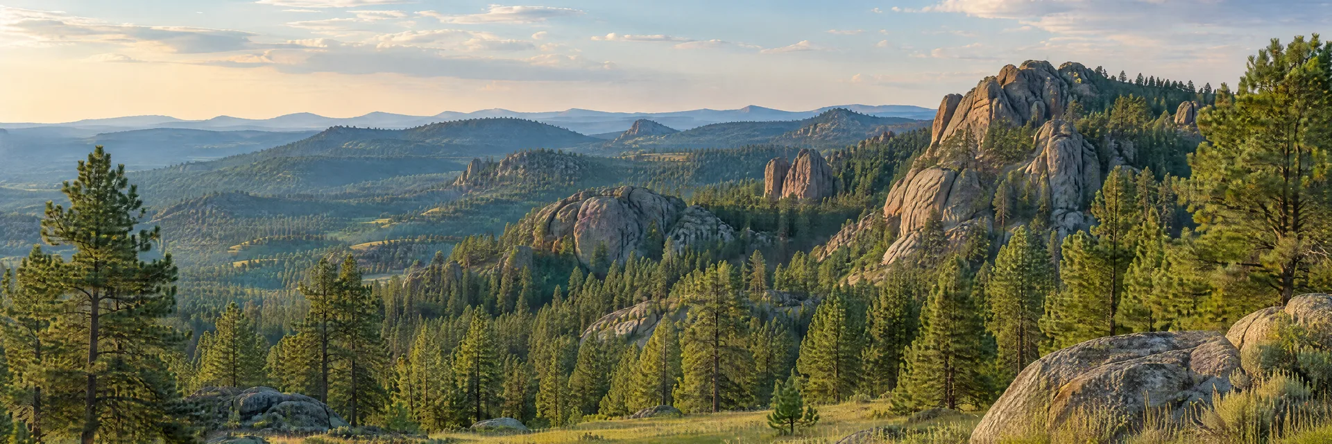 Illustration of representative natural scenery in South Dakota: black Hills ponderosa pine forest, granite outcrops and rolling grassy meadow.
