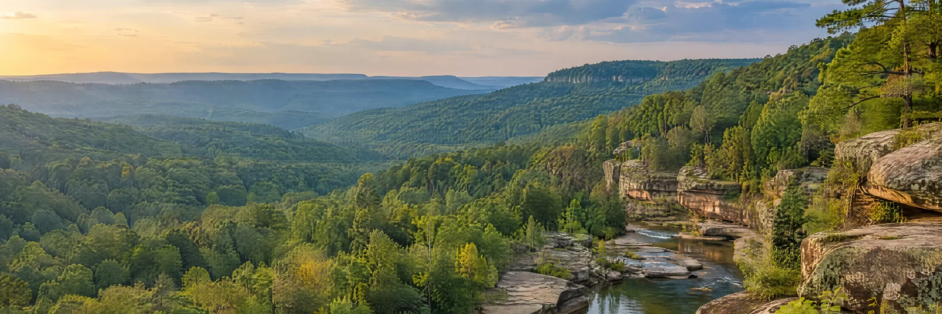 Illustration of representative natural scenery in Tennessee: cumberland Plateau wooded hills, sandstone creek banks and lush hardwood forest.