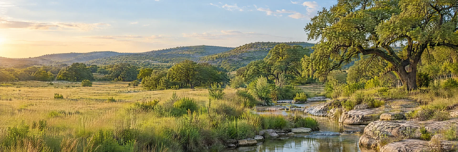 Illustration of representative natural scenery in Texas: hill Country live oaks, limestone creek, broad grassy meadow and low rolling hills.