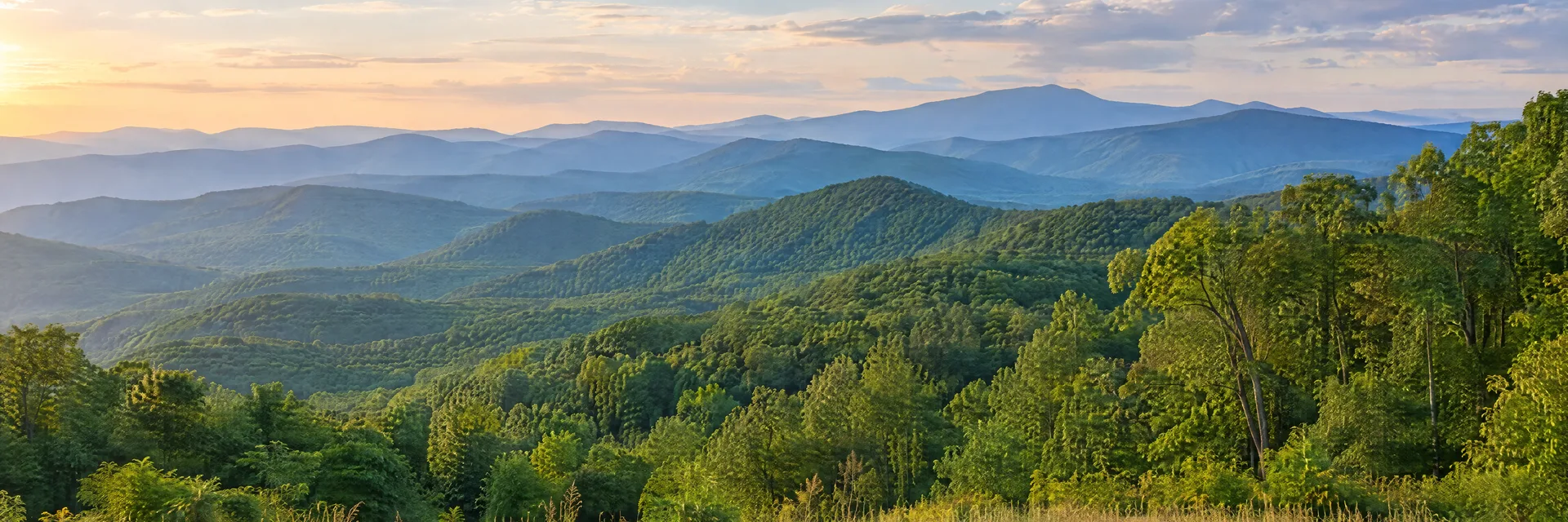 Illustration of representative natural scenery in Virginia: blue Ridge layered wooded mountains, hardwood forest and grassy meadow.