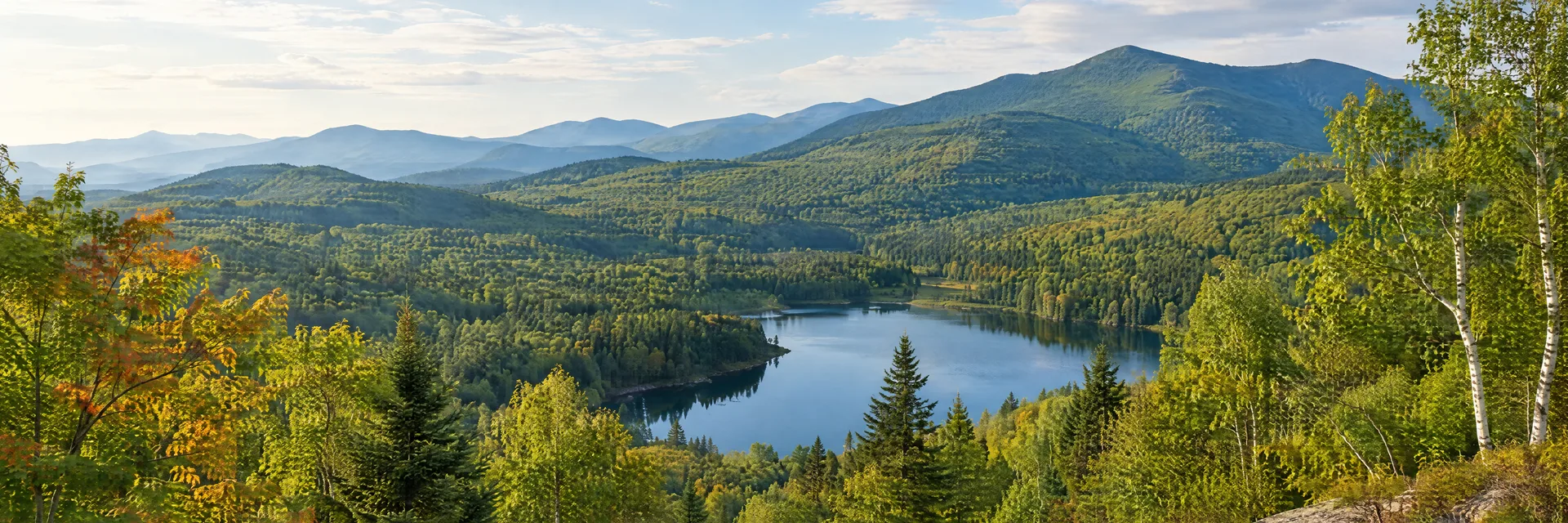 Illustration of representative natural scenery in Vermont: green Mountains wooded valley, maple and birch forest, small clear lake.