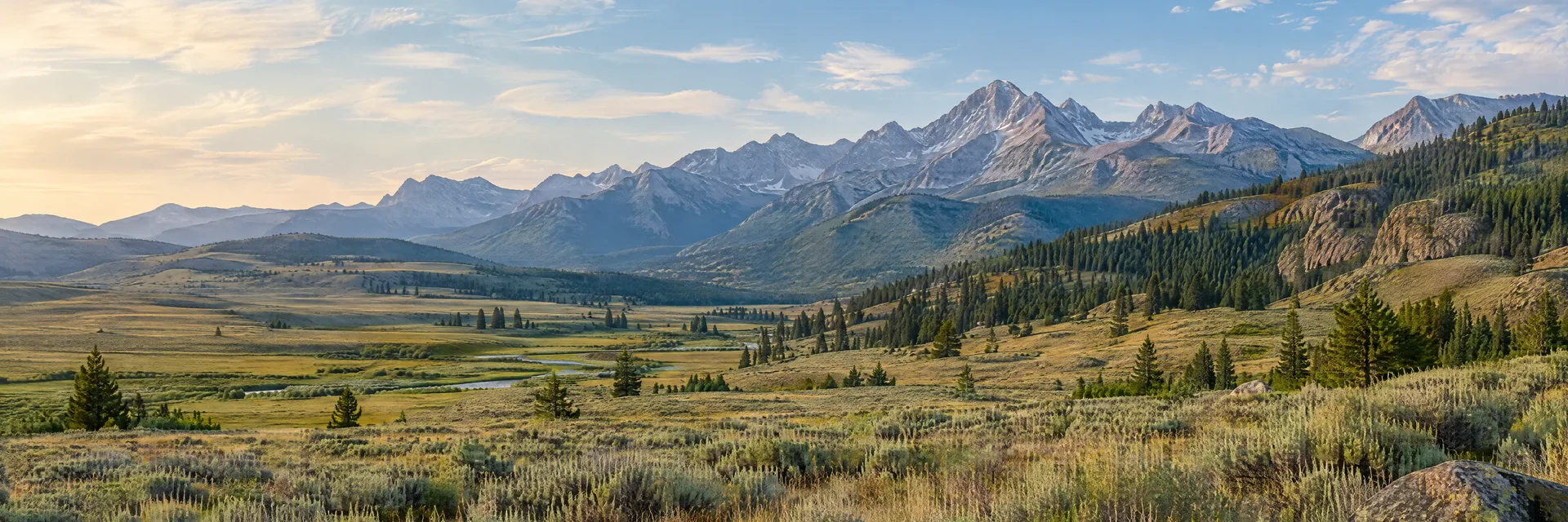 Illustration of representative natural scenery in Wyoming: open high-country basin, sagebrush grassland, pine foothills and distant rugged mountains.