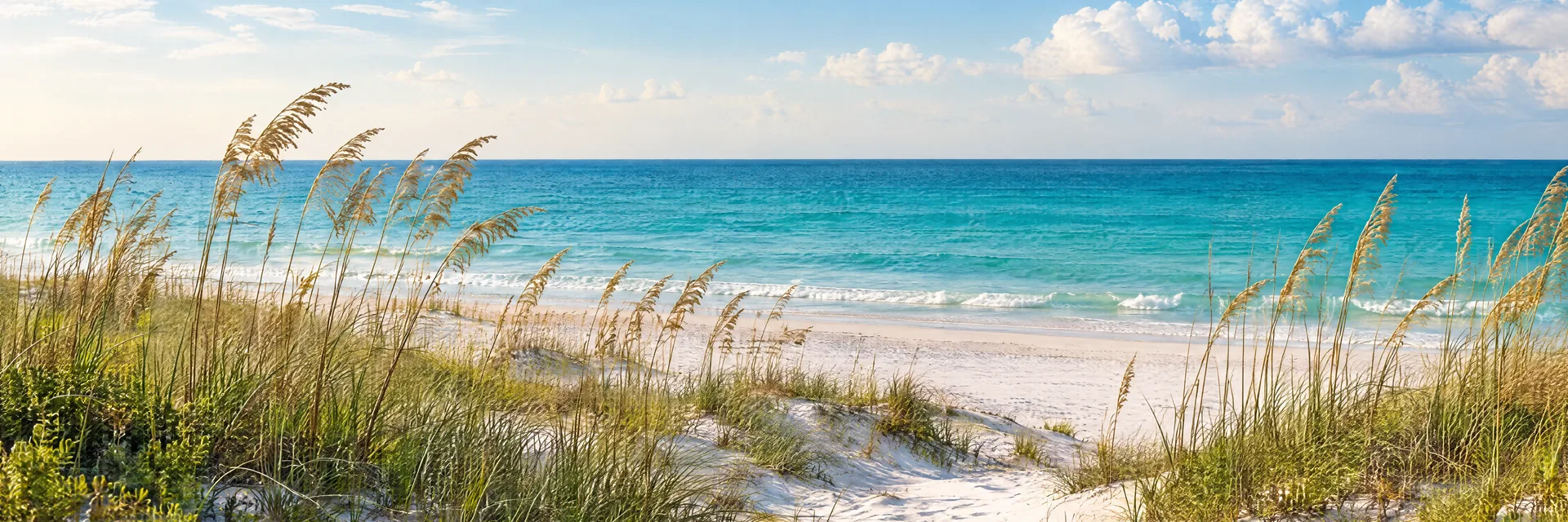 AI-generated illustration inspired by Alabama: Alabama Gulf coastal dunes, white sand, sea oats and clear blue-green water, flat horizon.