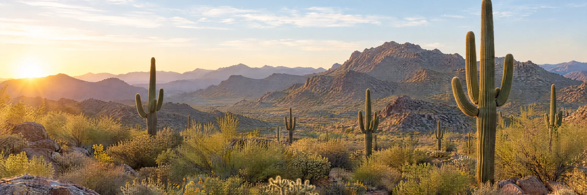 AI-generated illustration inspired by Arizona: Sonoran Desert, scattered tall saguaro cacti in rocky scrubland, low rugged desert mountains, expansive pale blue sky.