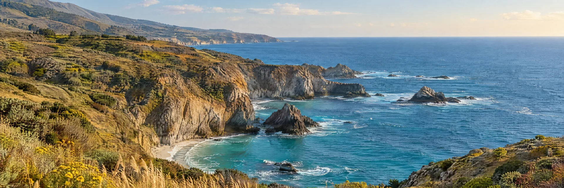 AI-generated illustration inspired by California: California Pacific coastline, golden coastal grasses above a blue ocean cove, rugged cliffs with low coastal scrub.