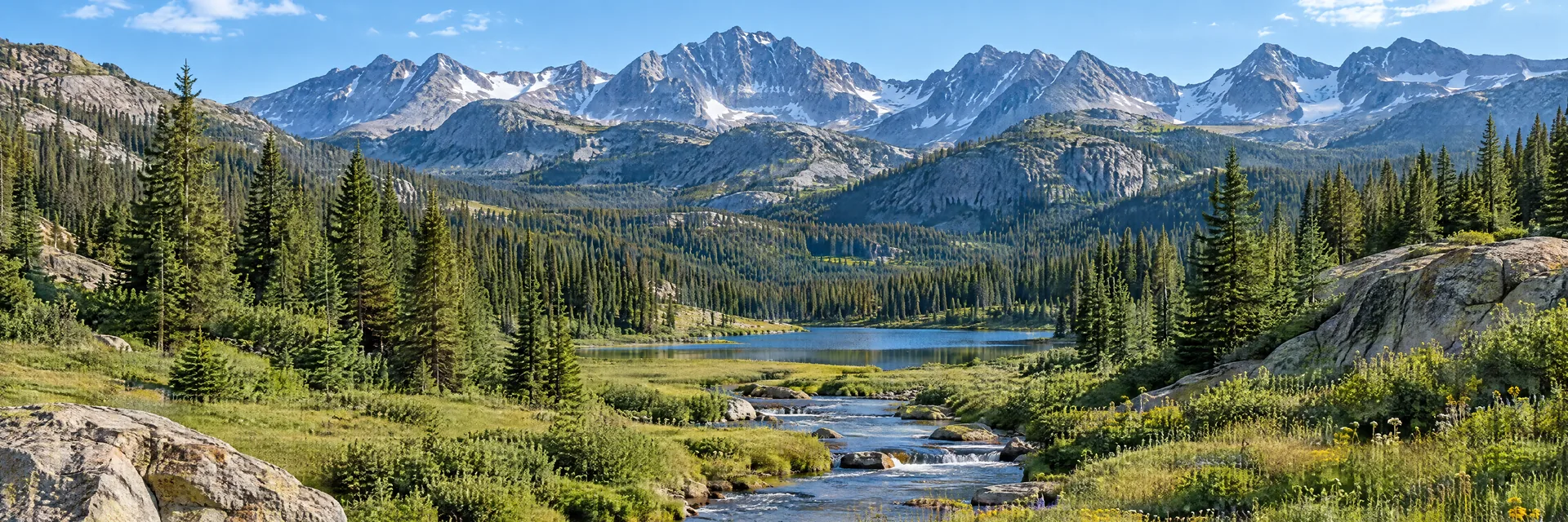 AI-generated illustration inspired by Colorado: Colorado Rocky Mountain valley, alpine meadow with subtle wildflowers, spruce forest and rugged distant granite peaks.