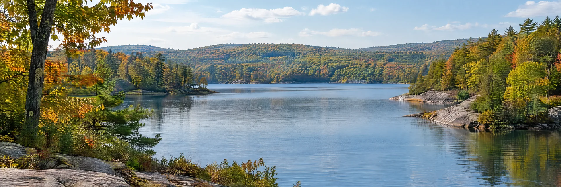 AI-generated illustration inspired by Connecticut: New England wooded freshwater shoreline, rounded low hills, deciduous trees showing restrained early autumn color, smooth granite ledges.