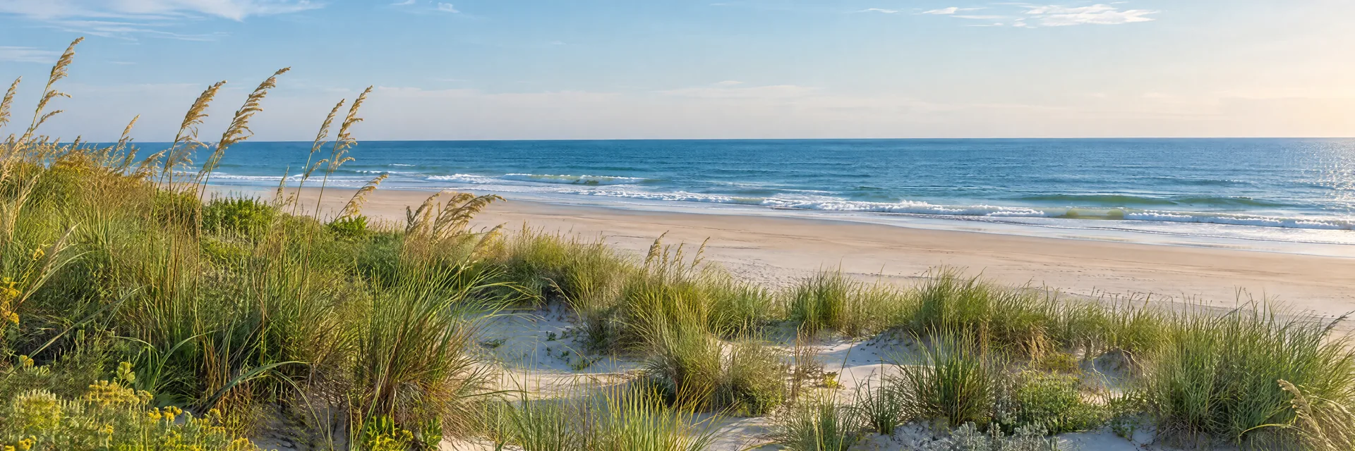AI-generated illustration inspired by Delaware: Atlantic coastal landscape, pale dunes and beach grass beside a quiet broad sandy beach, blue ocean and flat horizon.