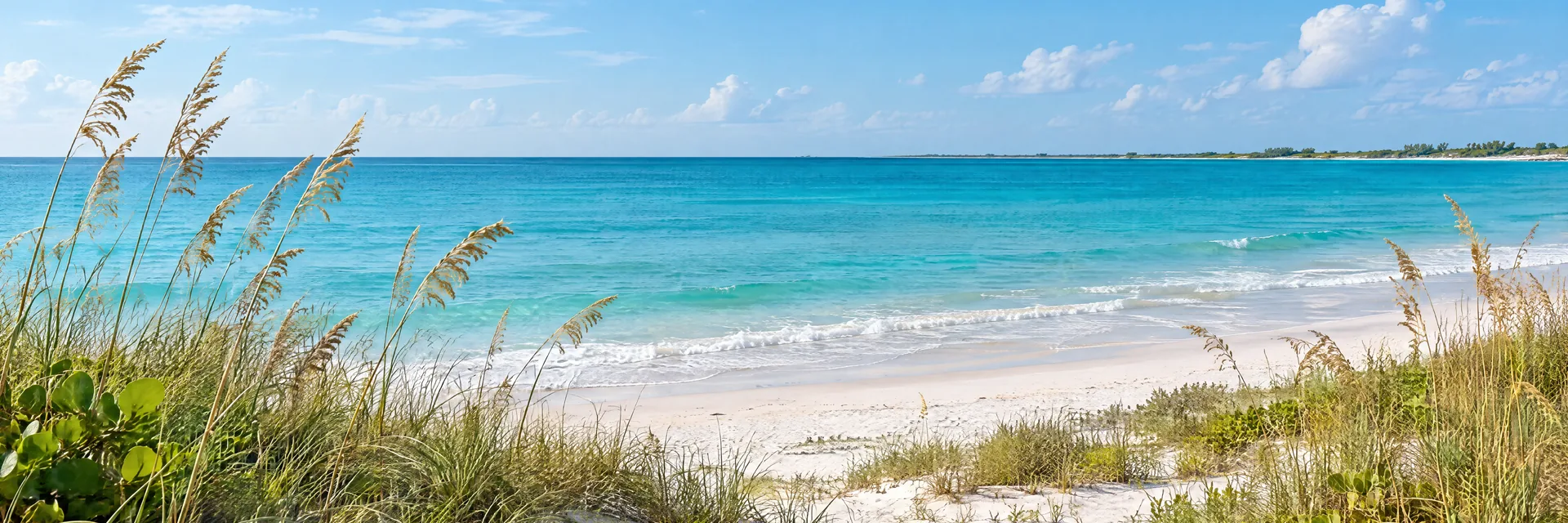 AI-generated illustration inspired by Florida: Natural Florida Gulf coast, white sand and sea oats, clear turquoise water, flat coastal horizon with distant low coastal vegetation.