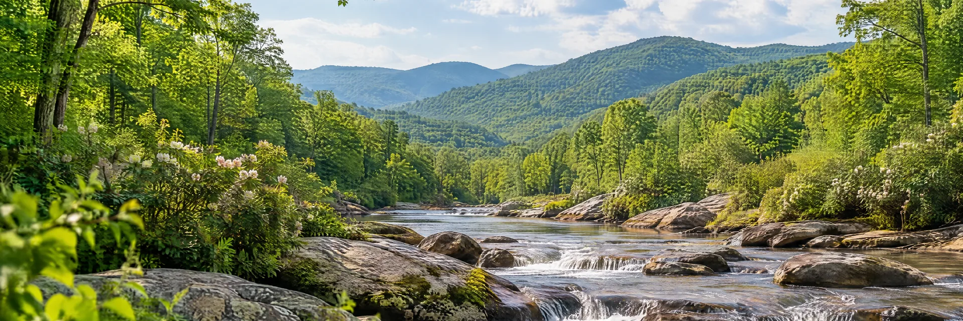 AI-generated illustration inspired by Georgia: North Georgia Appalachian foothills, lush deciduous forest along a gently cascading rocky creek, rounded green hills.