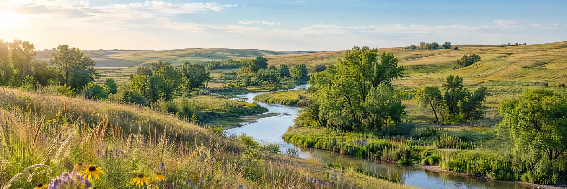 AI-generated illustration inspired by Iowa: Rolling prairie hills, native grasses and summer wildflowers, a meandering creek with scattered leafy trees.