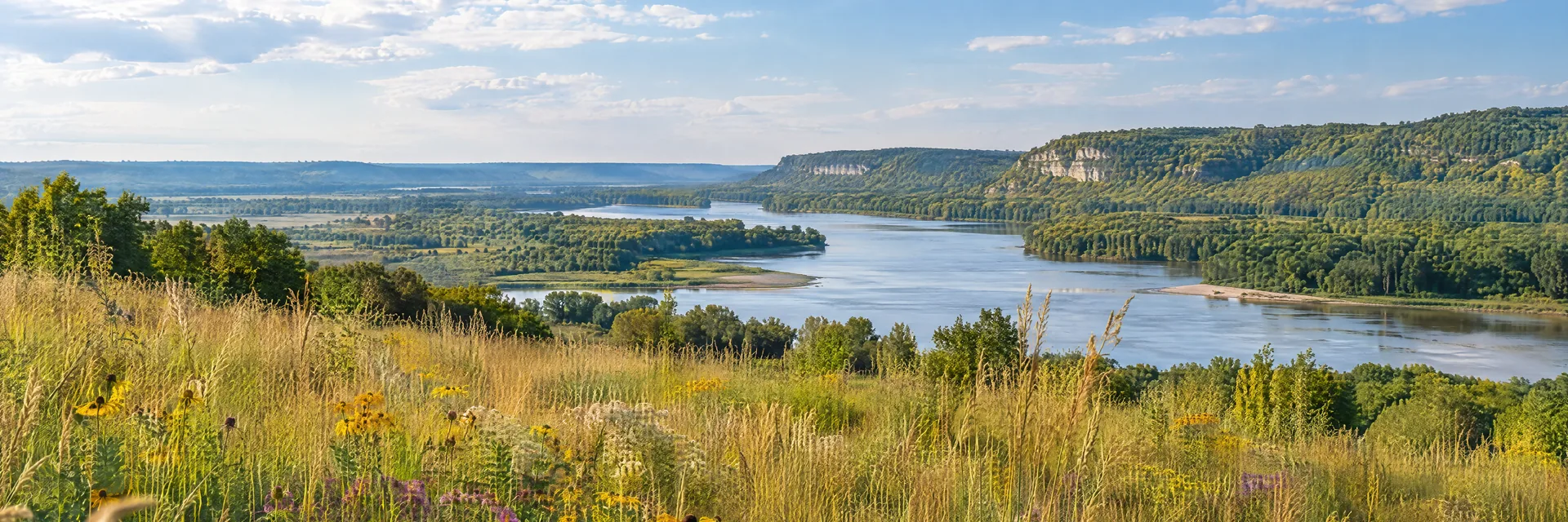 AI-generated illustration inspired by Illinois: Midwestern prairie and broad river valley, tall golden-green grasses with native wildflowers, low wooded bluffs in the distance.