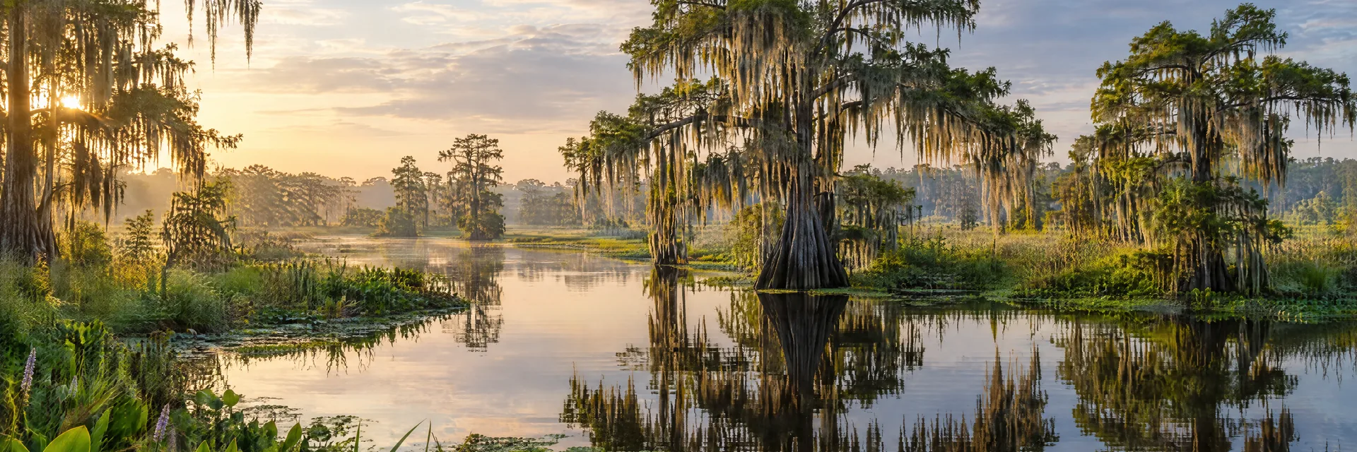 AI-generated illustration inspired by Louisiana: Louisiana bayou, bald cypress trees and Spanish moss reflected in still dark water, green wetland vegetation and low flat terrain.