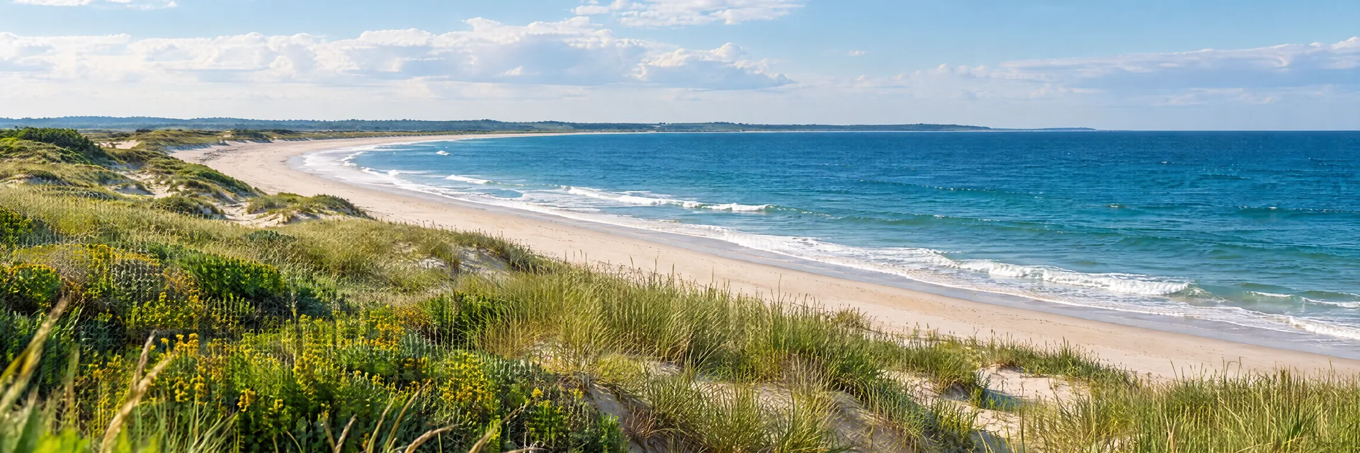 AI-generated illustration inspired by Massachusetts: New England Atlantic coastal dunes, beach grass and a broad curving pale sand beach beside blue ocean.