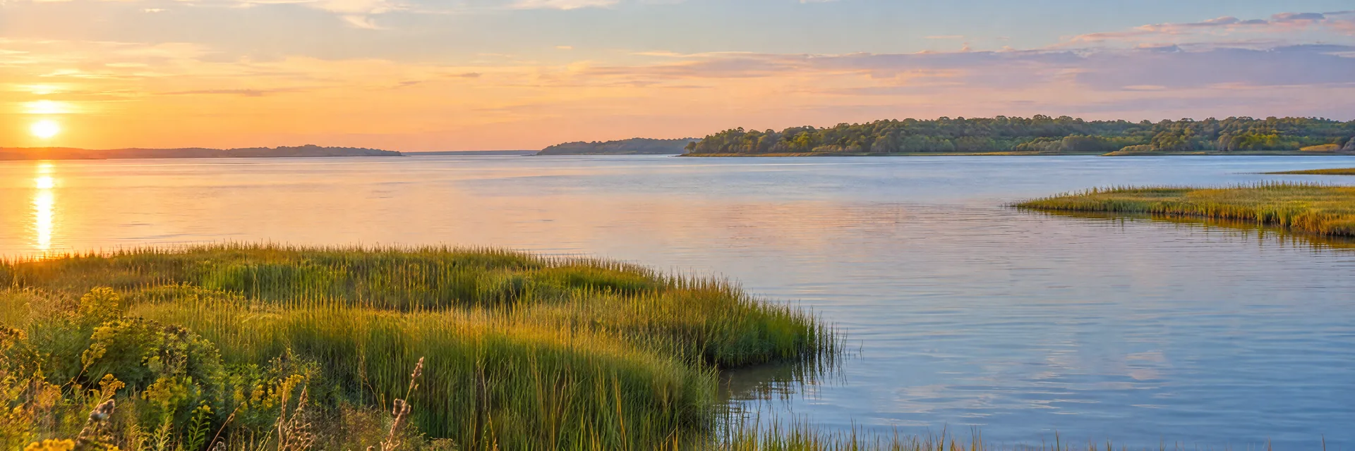 AI-generated illustration inspired by Maryland: Chesapeake Bay landscape, calm broad water and a natural salt-marsh edge with distant low wooded shoreline.