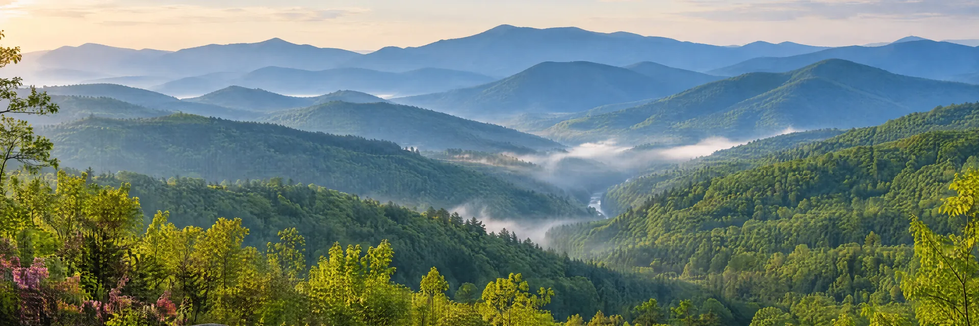AI-generated illustration inspired by North Carolina: Layered rounded Blue Ridge mountains clothed in dense mixed hardwood forest, a winding wooded valley, thin morning mist.