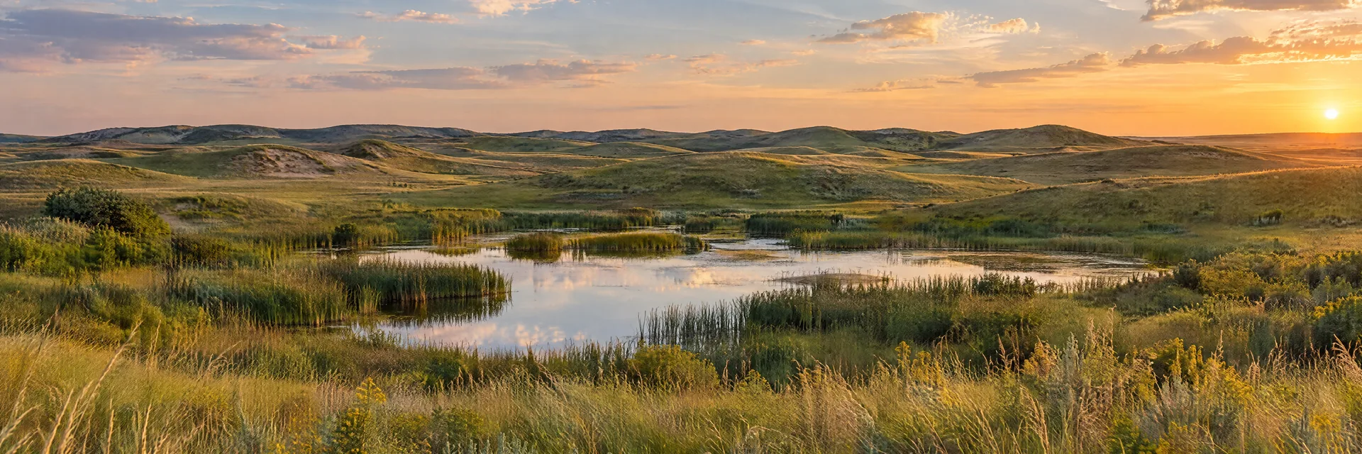 AI-generated illustration inspired by Nebraska: Nebraska Sandhills, undulating grass-covered dunes and a small prairie wetland, broad open sky, no mountains.