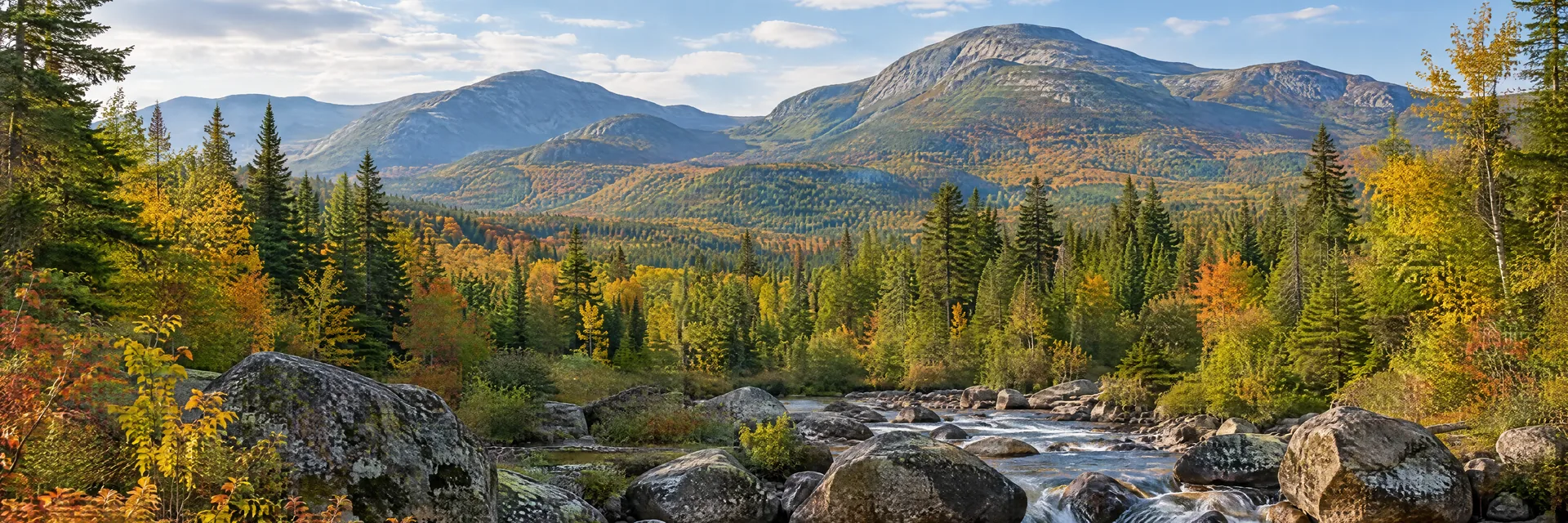 AI-generated illustration inspired by New Hampshire: White Mountains landscape, rounded rugged peaks above dense evergreen and mixed hardwood forest, a clear rocky stream.