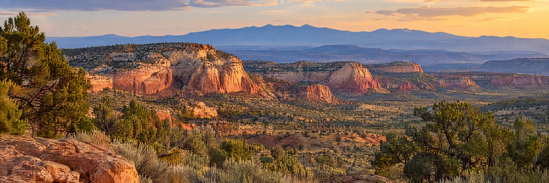 AI-generated illustration inspired by New Mexico: High-desert plateau, warm red and tan sandstone bluffs, sagebrush and scattered pinon pines, distant blue mountains.