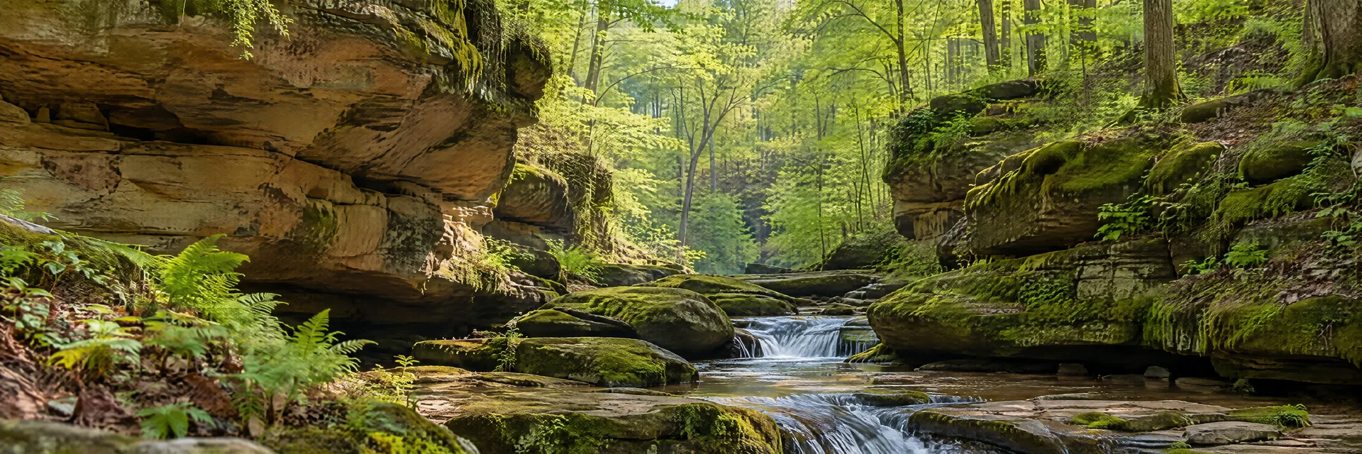 AI-generated illustration inspired by Ohio: Sandstone gorge in a hardwood forest, moss-covered ledges and a small natural creek with gentle cascades.