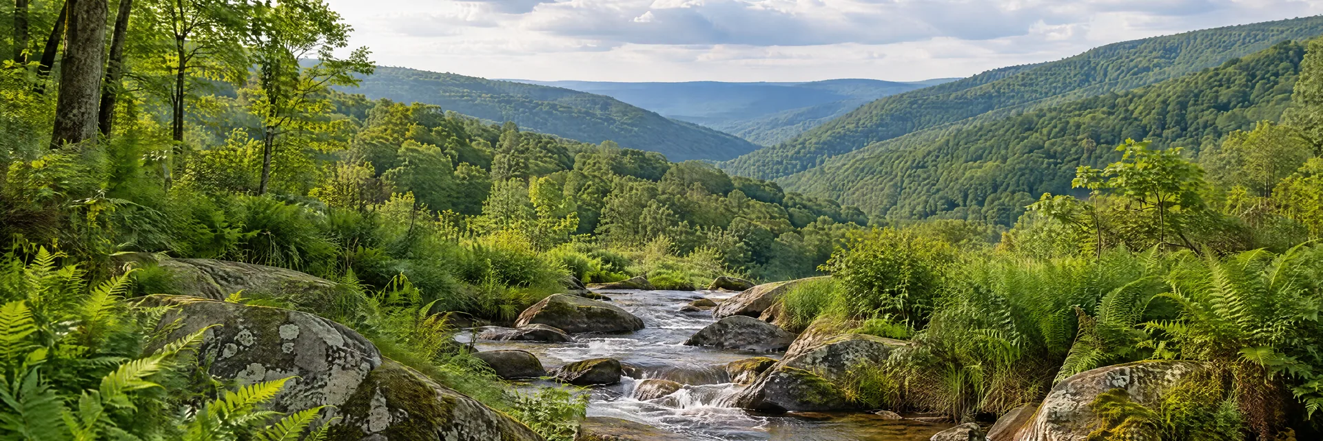 AI-generated illustration inspired by Pennsylvania: Rolling Appalachian hardwood hills, a clear rocky creek and lush fern-covered banks.