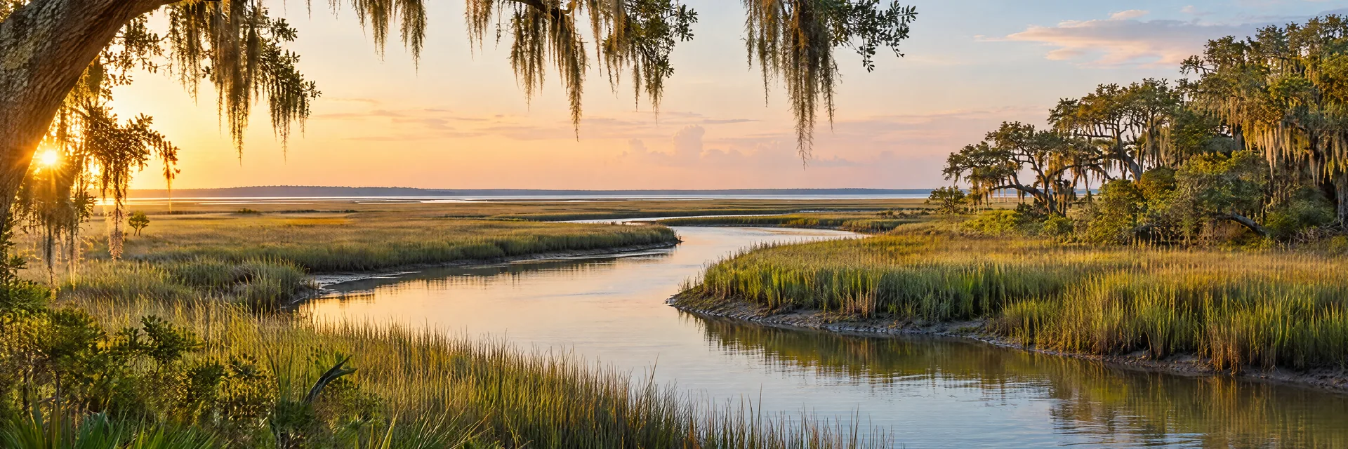 AI-generated illustration inspired by South Carolina: Atlantic coastal salt marsh and a tidal creek, low live oak fringe with Spanish moss, marsh grasses and flat coastal horizon.