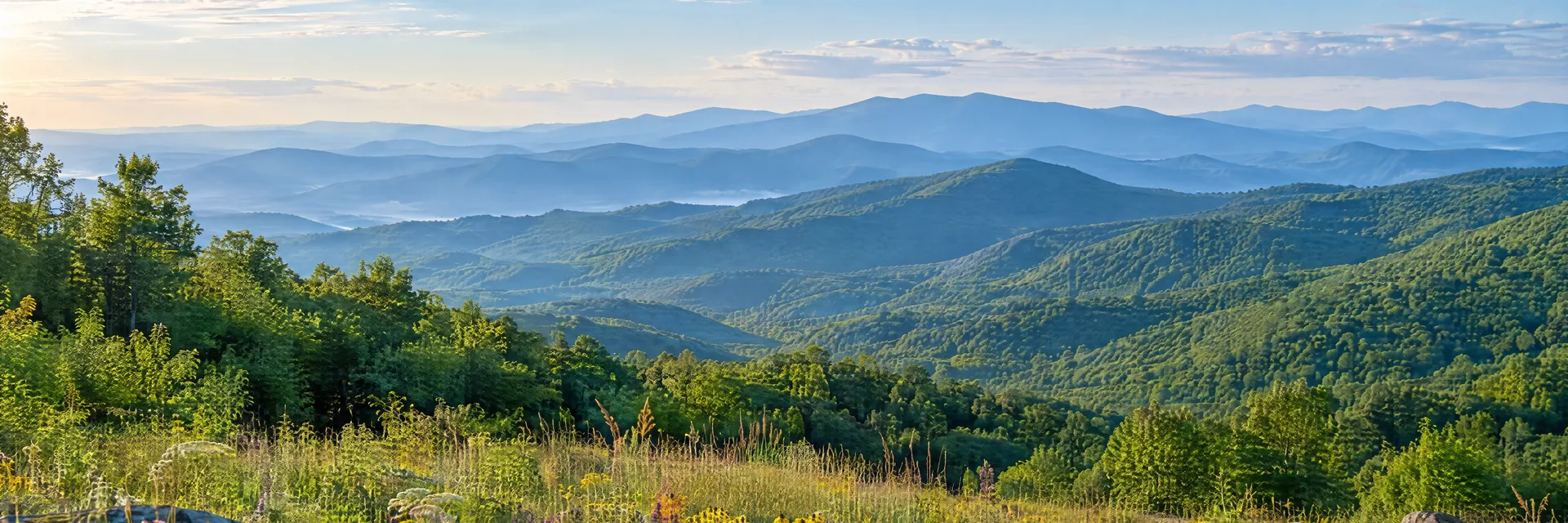 AI-generated illustration inspired by Virginia: Virginia Blue Ridge mountains, rolling forested ridges and a grassy wildflower meadow, layered blue mountain distance.