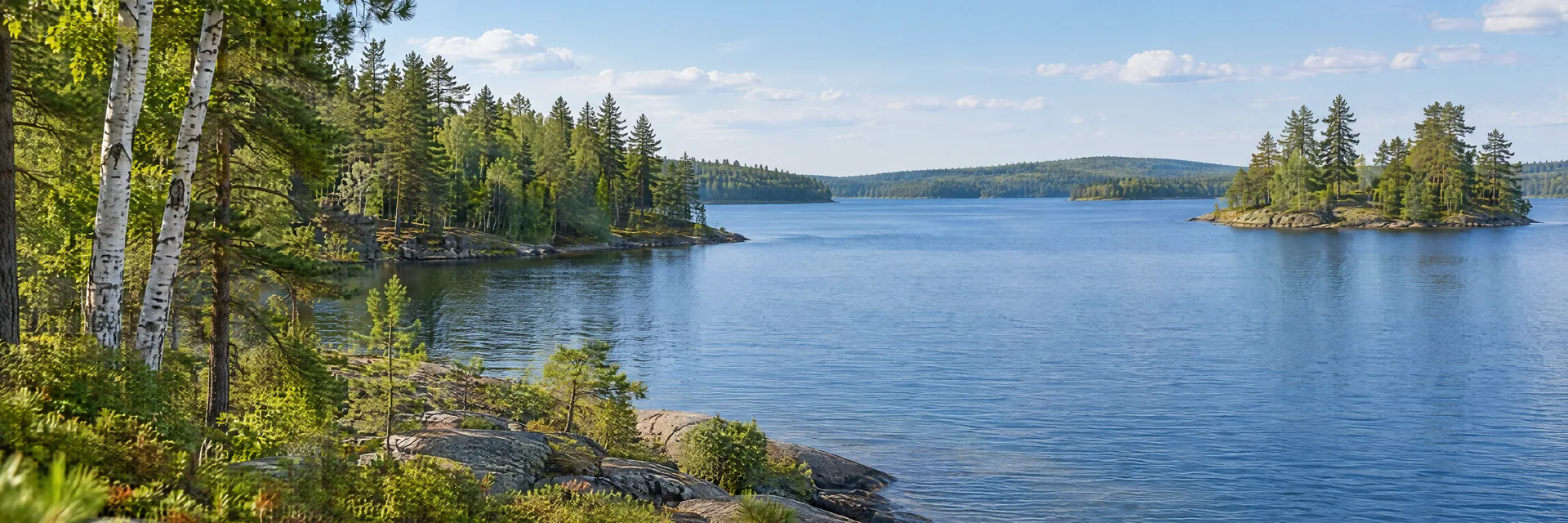 AI-generated illustration inspired by Wisconsin: Northern Wisconsin lake, pine and birch forest on a gently rolling shoreline, clear blue water and natural rock outcrops.