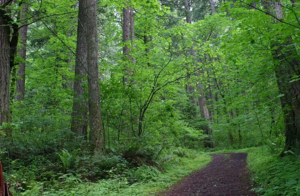 Ainsworth State Park