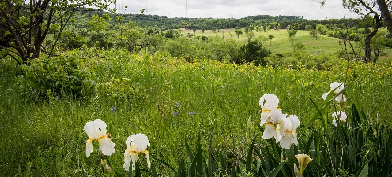 Cedar Hill State Park